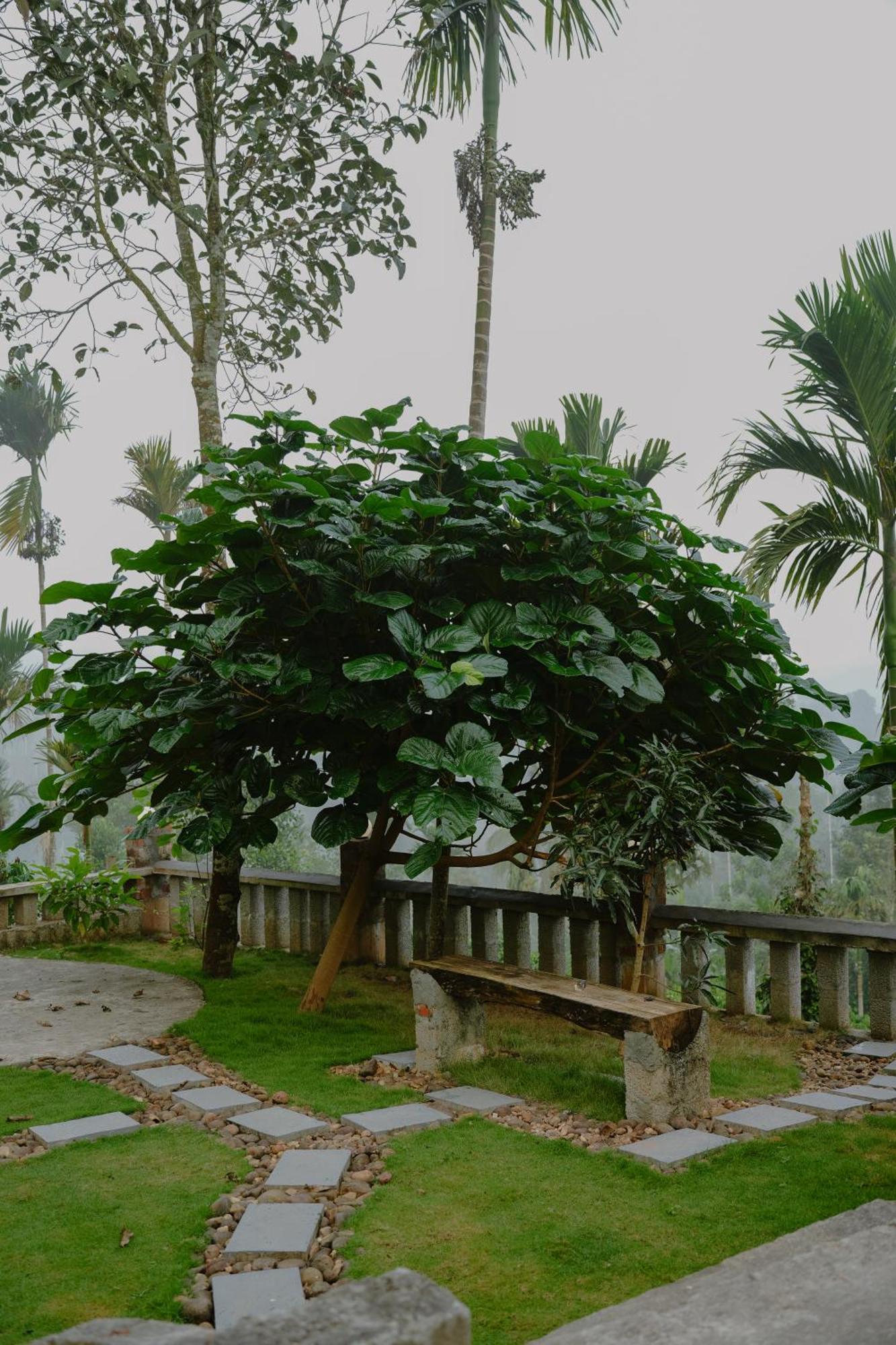 Haze Woods Resort Vaduvanchal Bagian luar foto